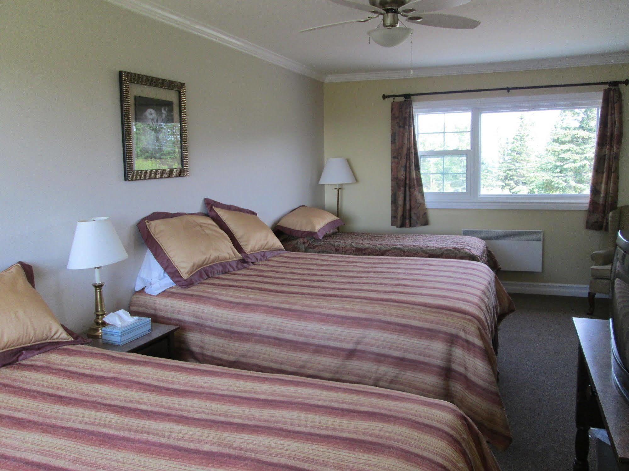Scenic Motel Moncton Esterno foto